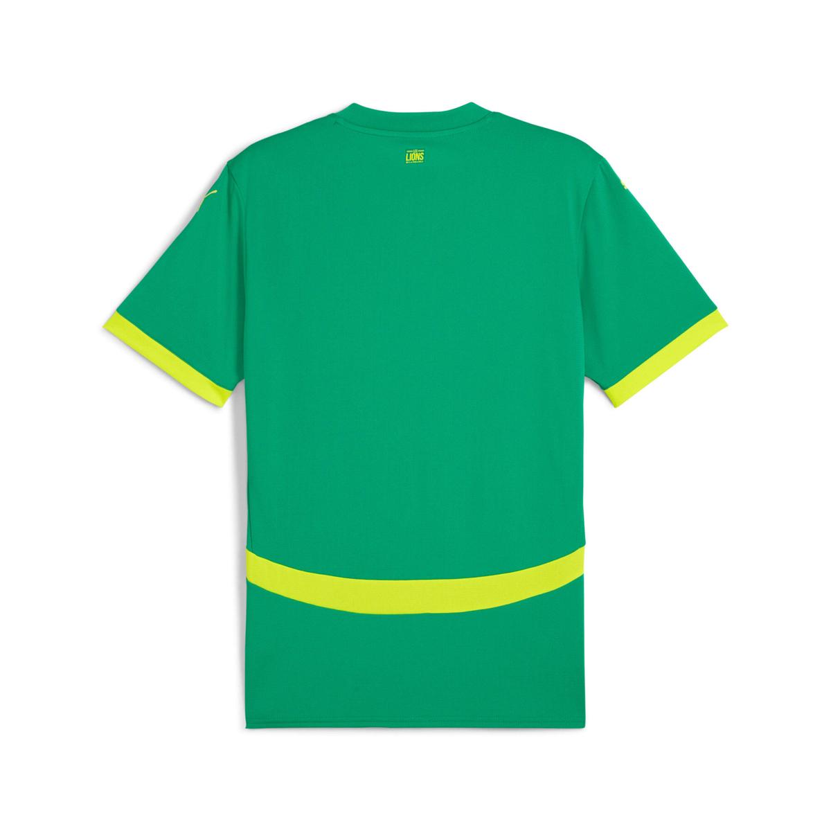 Maillot Vert – Extérieur – Haut de Gamme